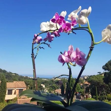 Hameau Du Soleil Lägenhet Cavalaire-sur-Mer Exteriör bild